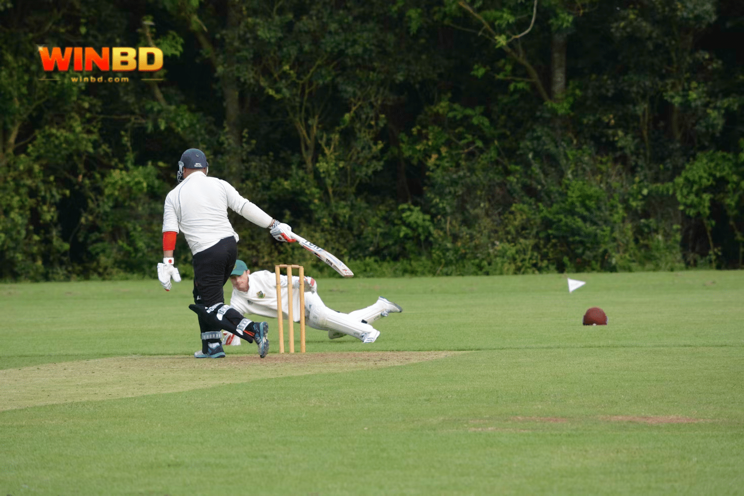 a group of people playing cricket